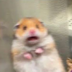 Meet your Posher, Martha